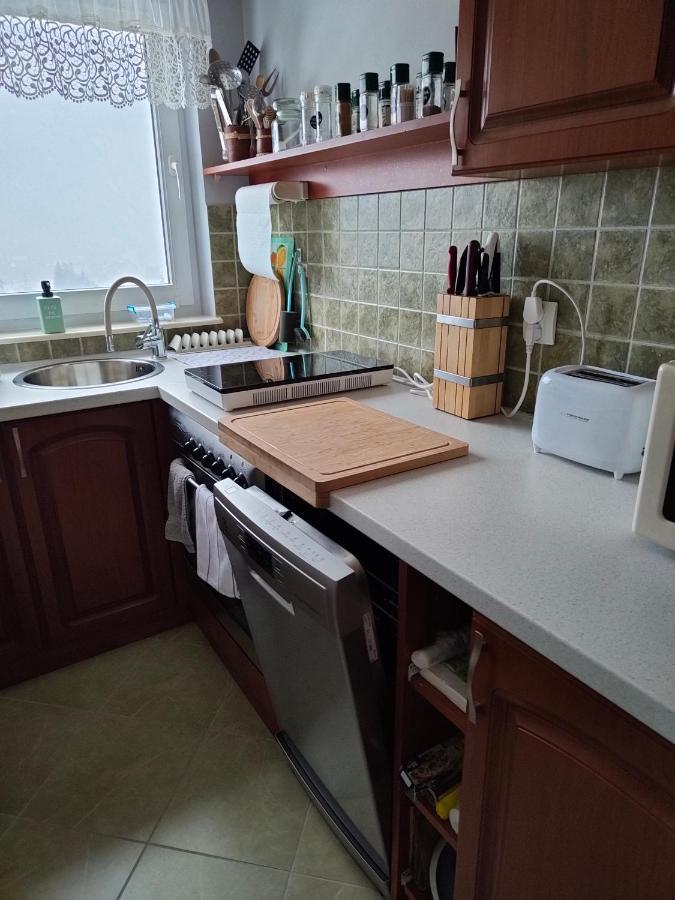 Apartament Zlap Oddech 자코파네 외부 사진